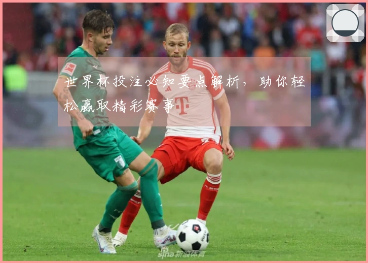 世界杯投注必知要点解析，助你轻松赢取精彩赛事