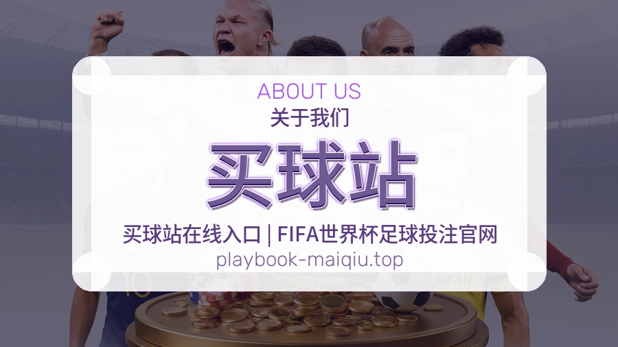 关于 买球站 团队与服务